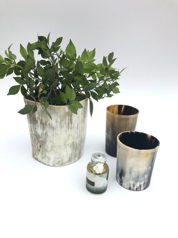 Horn Flower Vase