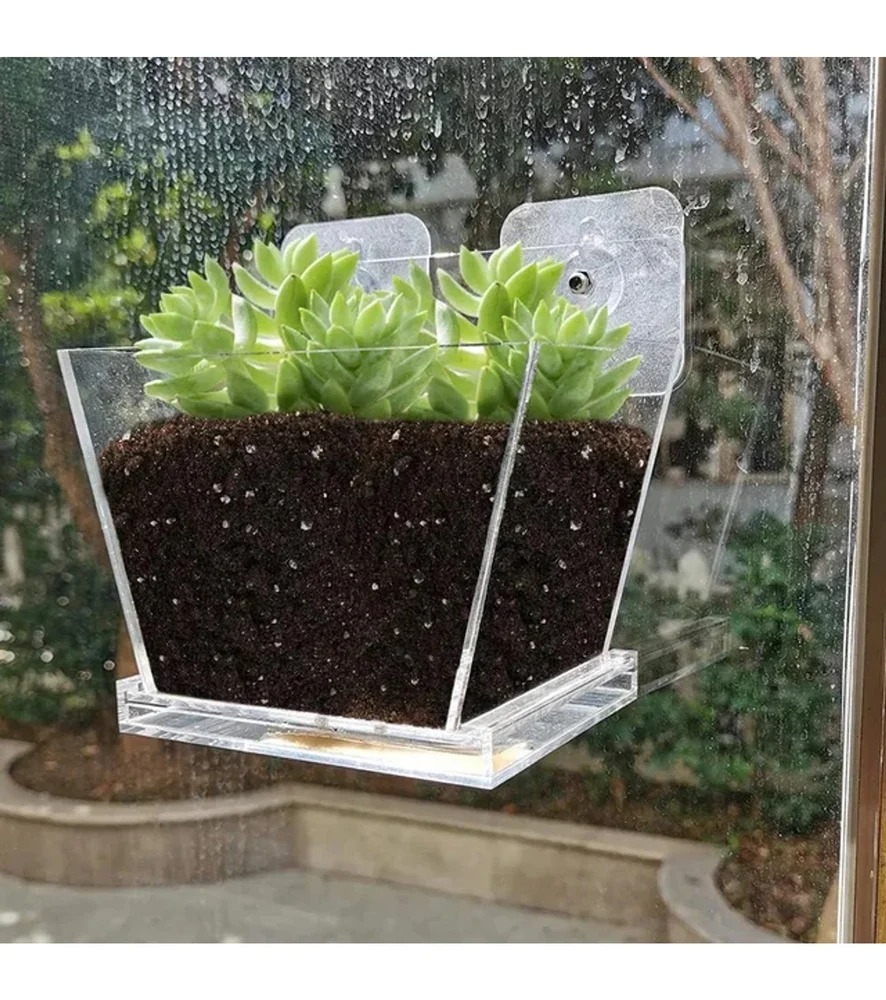 Acrylic Wall Mount Hanging